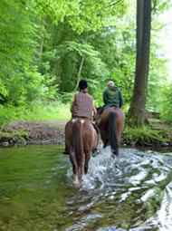 NRW Reiten für Anfänger