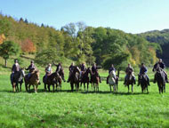 Süd-Eifel: Westernreiten