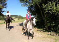 ausreiten reiterferien vulkaneifel